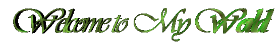 welcome-1.gif (114682 bytes)